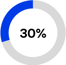 piechart_30.jpg